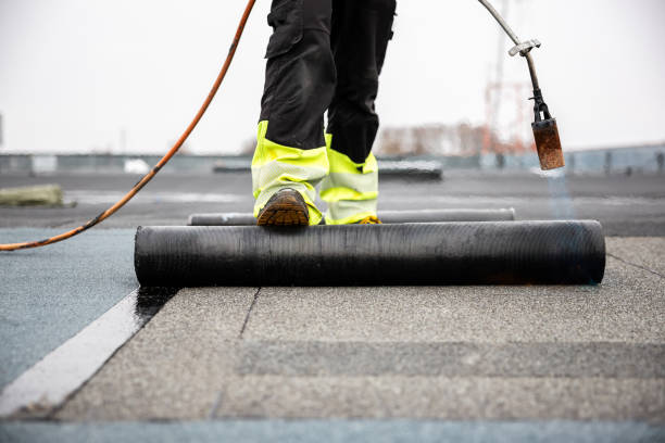 Best Sheet Metal Roofing  in Worthgton, IN